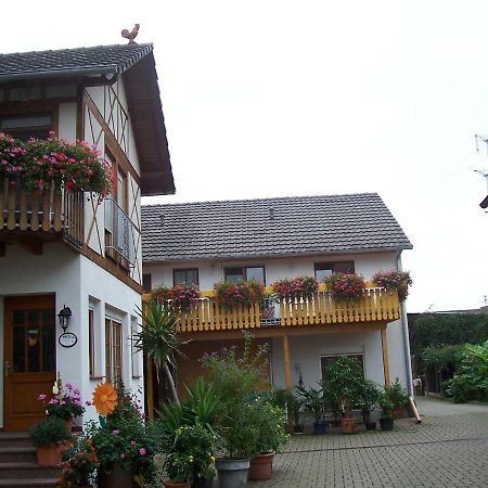 Meyerhof Apartment Wittenweier Exterior photo